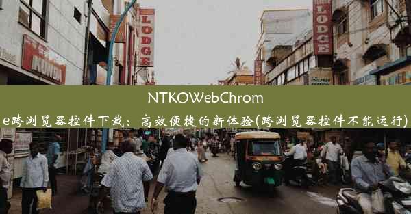 NTKOWebChrome跨浏览器控件下载：高效便捷的新体验(跨浏览器控件不能运行)