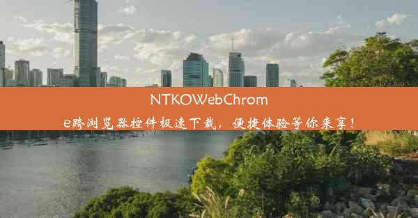 NTKOWebChrome跨浏览器控件极速下载，便捷体验等你来享！