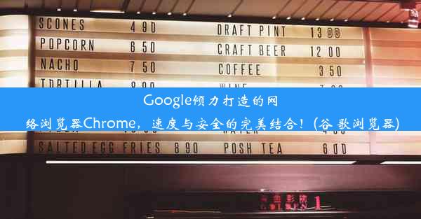 Google倾力打造的网络浏览器Chrome，速度与安全的完美结合！(谷 歌浏览器)