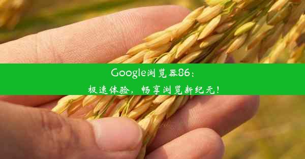 Google浏览器86：极速体验，畅享浏览新纪元！