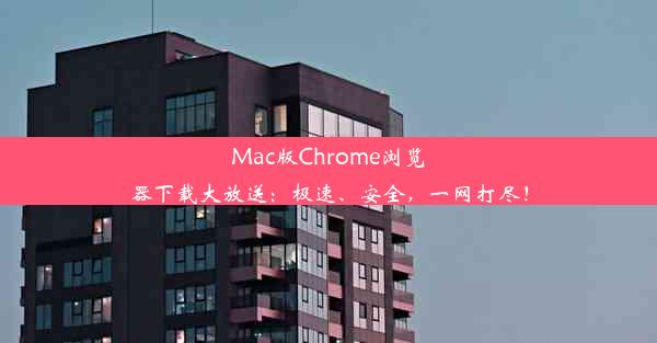 Mac版Chrome浏览器下载大放送：极速、安全，一网打尽！