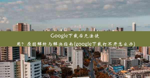 Google下载后无法使用？原因解析与解决指南(google下载打不开怎么办)