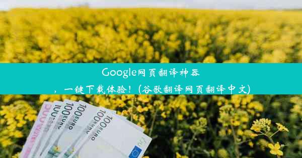 Google网页翻译神器，一键下载体验！(谷歌翻译网页翻译中文)