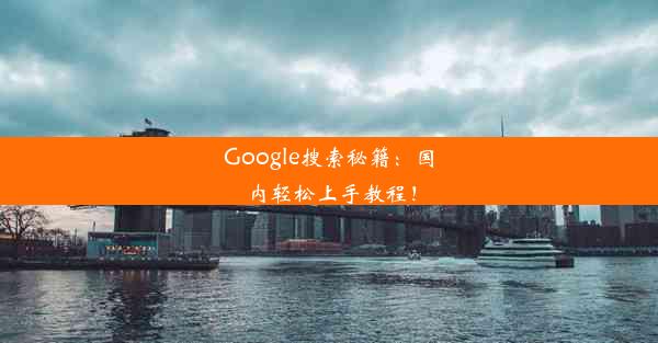 Google搜索秘籍：国内轻松上手教程！