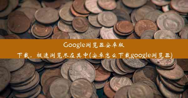 Google浏览器安卓版下载，极速浏览尽在其中(安卓怎么下载google浏览器)