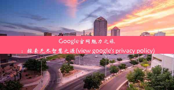 Google官网魅力之旅：探索无尽智慧之源(view google's privacy policy)