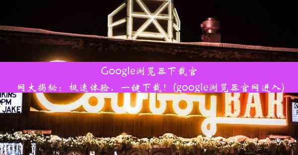 Google浏览器下载官网大揭秘：极速体验，一键下载！(google浏览器官网进入)