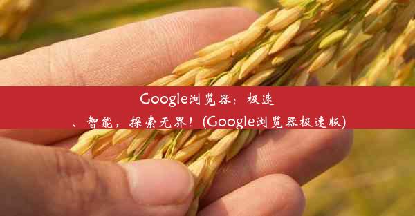 Google浏览器：极速、智能，探索无界！(Google浏览器极速版)