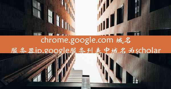 chrome.google.com 域名服务器ip,google服务列表中域名为scholar