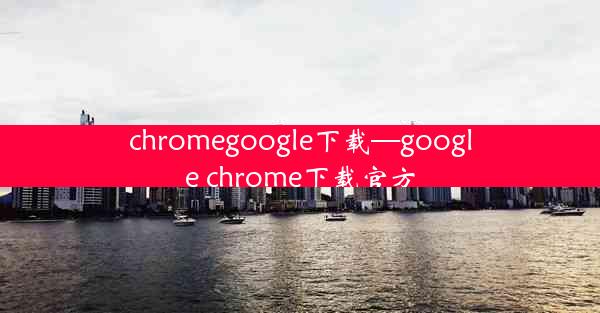 chromegoogle下载—google chrome下载官方