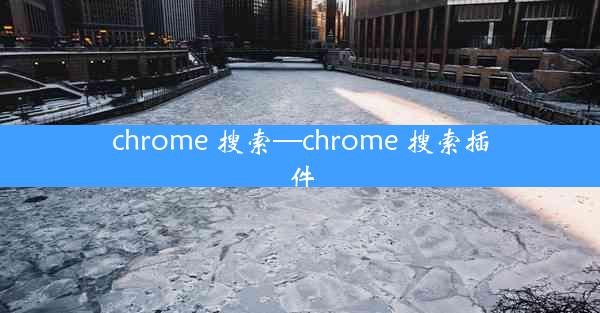 chrome 搜索—chrome 搜索插件