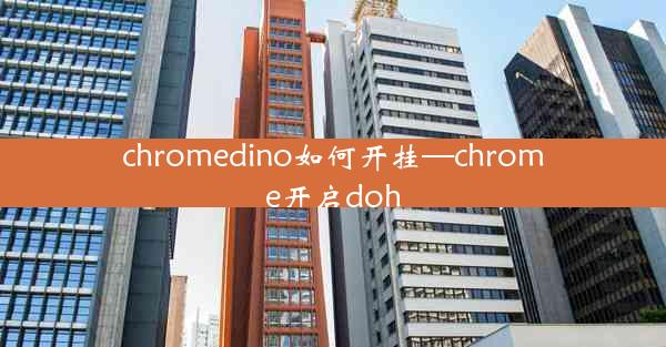 chromedino如何开挂—chrome开启doh