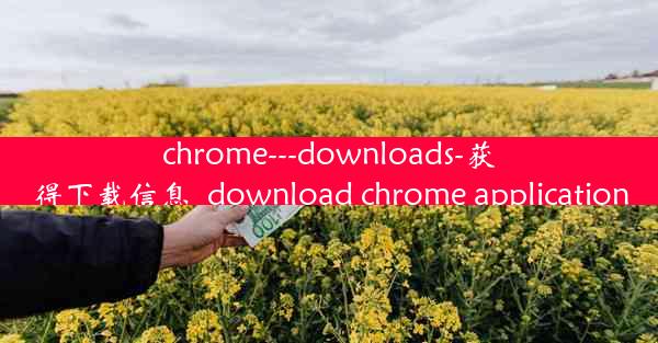 chrome---downloads-获得下载信息_download chrome application