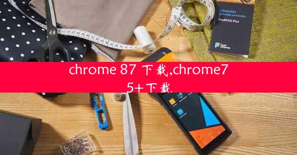 chrome 87 下载,chrome75+下载