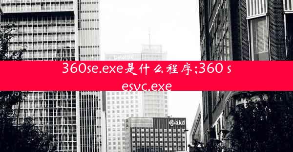 360se.exe是什么程序;360 sesvc.exe