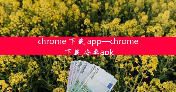 chrome 下载 app—chrome 下载 安卓apk