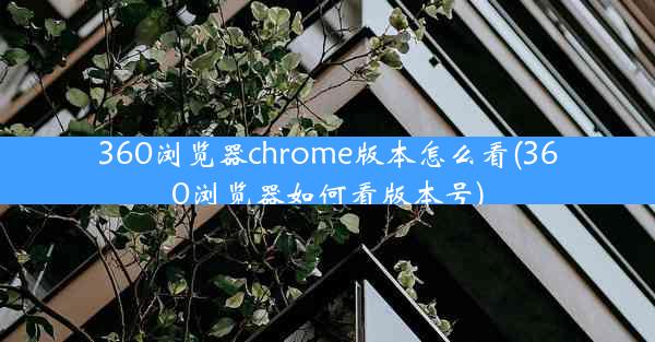 360浏览器chrome版本怎么看(360浏览器如何看版本号)