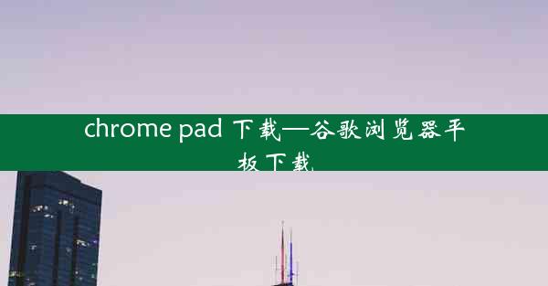 chrome pad 下载—谷歌浏览器平板下载