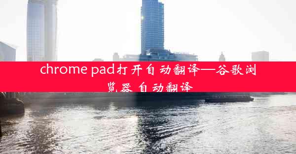 chrome pad打开自动翻译—谷歌浏览器 自动翻译