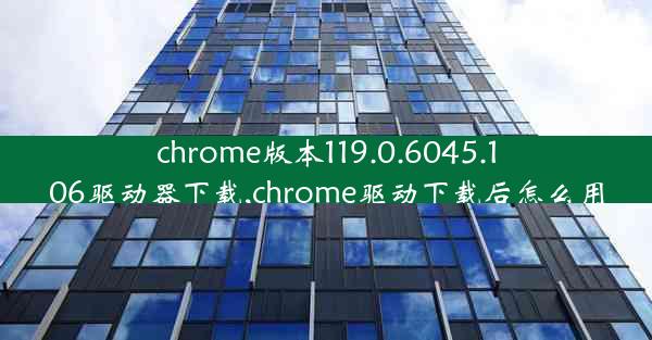 chrome版本119.0.6045.106驱动器下载,chrome驱动下载后怎么用