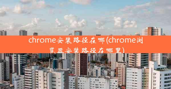 chrome安装路径在哪(chrome浏览器安装路径在哪里)