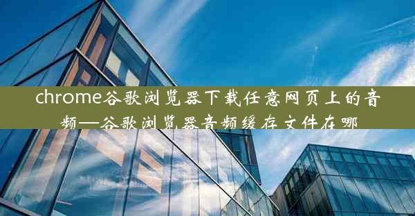 chrome谷歌浏览器下载任意网页上的音频—谷歌浏览器音频缓存文件在哪