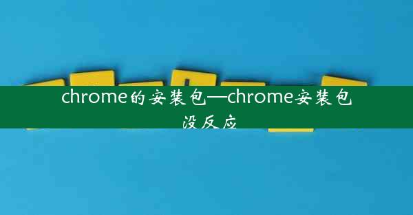 chrome的安装包—chrome安装包没反应