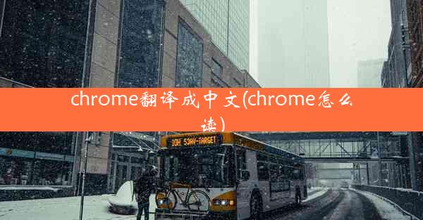 chrome翻译成中文(chrome怎么读)