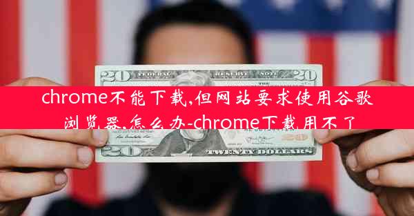 chrome不能下载,但网站要求使用谷歌浏览器,怎么办-chrome下载用不了