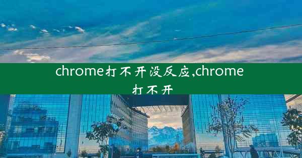 chrome打不开没反应,chrome 打不开