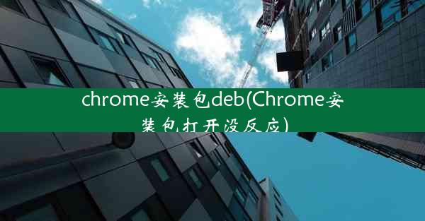 chrome安装包deb(Chrome安装包打开没反应)