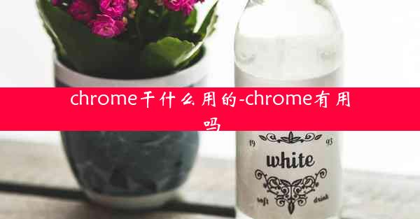 chrome干什么用的-chrome有用吗