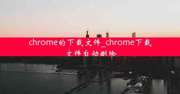 chrome的下载文件_chrome下载文件自动删除