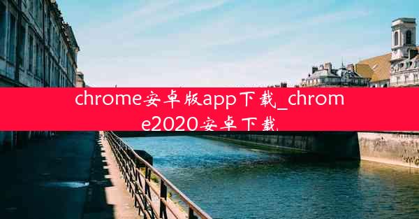 chrome安卓版app下载_chrome2020安卓下载