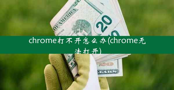 chrome打不开怎么办(chrome无法打开)