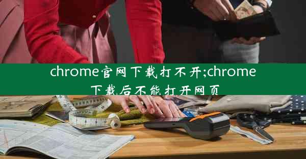 chrome官网下载打不开;chrome下载后不能打开网页