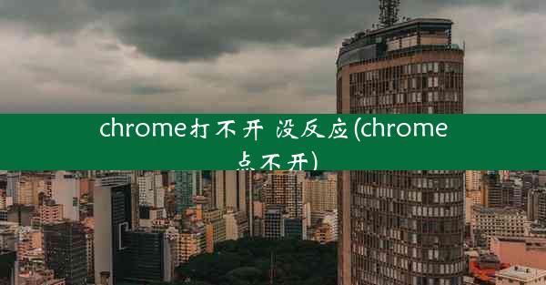 chrome打不开 没反应(chrome点不开)