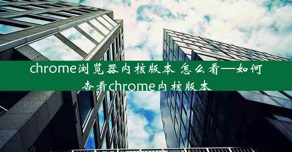 chrome浏览器内核版本 怎么看—如何查看chrome内核版本