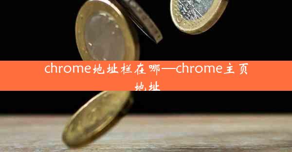 chrome地址栏在哪—chrome主页地址