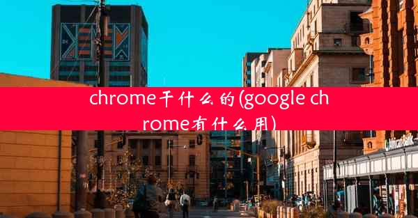 chrome干什么的(google chrome有什么用)