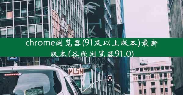 chrome浏览器(91及以上版本)最新版本(谷歌浏览器91.0)